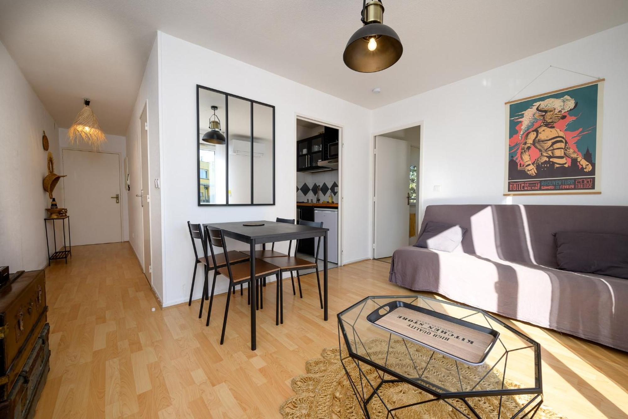 Appartement Le Boudoir De Saint-agne, Clim, Metro, Parking Toulouse